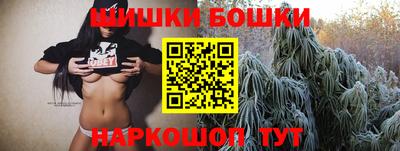 СК Будённовск