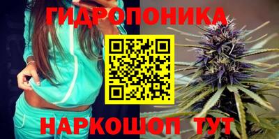 СК Будённовск