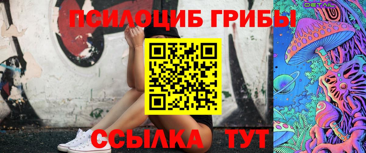 Псилоцибиновые грибы GOLDEN TEACHER Находка