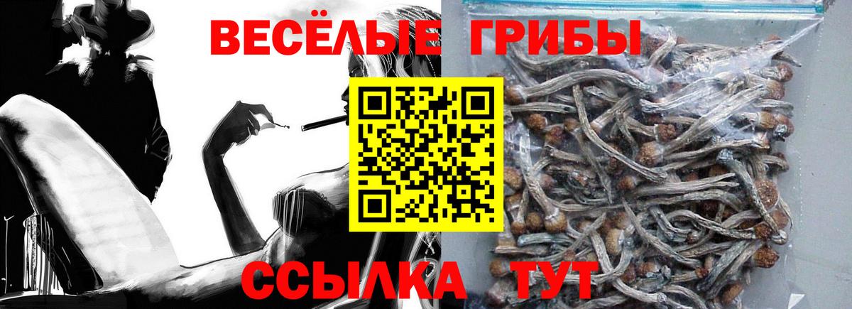 Находка  Псилоцибиновые грибы Psilocybe  Вход с VPN 